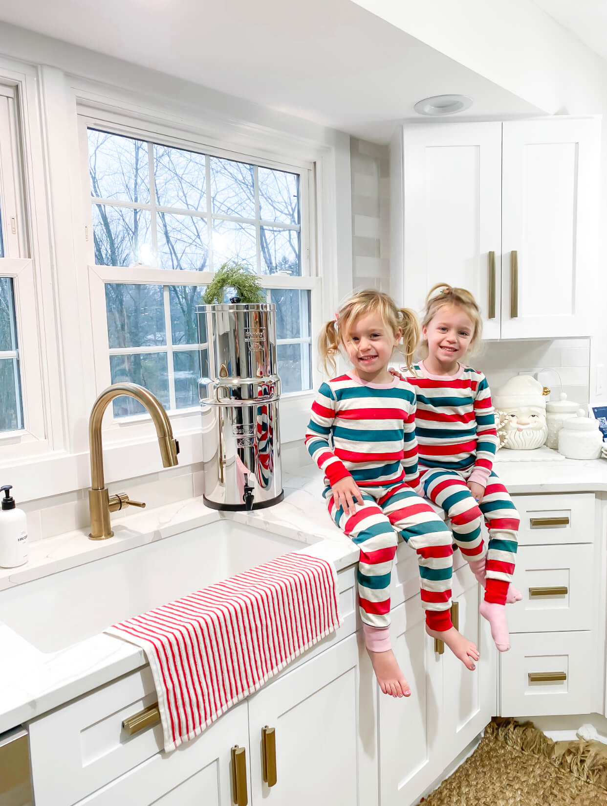 IMG_5547 Featured Build - A Fireclay Sink For The Family